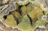 Yellow Crystal Filled Septarian Geode - Utah #97244-1